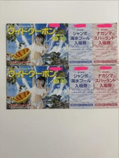 ナガシマスパーランド ワイドクーポン - メルカリ