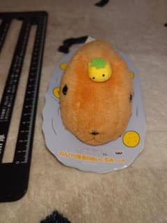 카피바라씨 한가로이 풍경 첨부 봉제인형