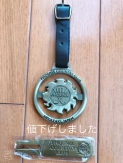 宮崎フェニックス　タグ&グリーンフォークのサムネイル