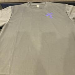ANYTIME FITNESS エニタイムフィットネス Tシャツ グレーのサムネイル