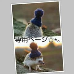 ○  さるまる様 専用ページ ○のサムネイル