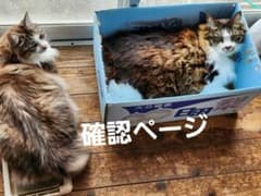 確認ページのサムネイル