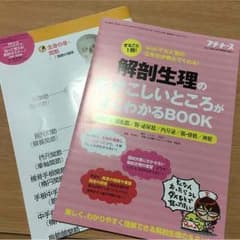 プチナース 付録 解剖ポスターのサムネイル