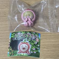 （美品）こびとづかんおすわりマスコット30体 シークレット•レアあり m33150366195_1.jpg?1769253355