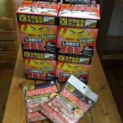 ★hiromi21028様専用★不動王2個入✕4　おまけ付きのサムネイル