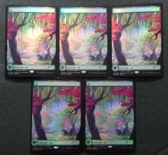 mtg 稀少 5枚セット 干支 プロモ フルアート 森 FOIL prm - メルカリ