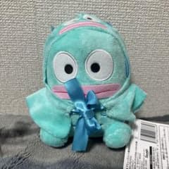 ハンギョドン ぬいぐるみ ポンチョ付きのサムネイル