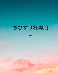 ちびすけ様専用 確認ページのサムネイル