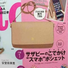 Steady 7月号 付録のサムネイル