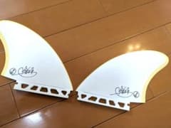 マイキーフェブラリー ツインフィンのサムネイル