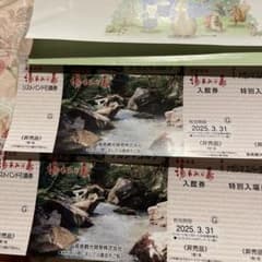 長島温泉　湯あみの島入館券2枚セットのサムネイル