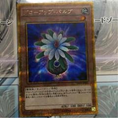 グローアップバルブのサムネイル