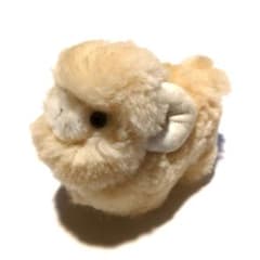 ムートンぬいぐるみ ひつじ ベージュ 新品未使用 - メルカリ