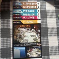 水族館 施設利用券 サンゴ礁の展示のサムネイル