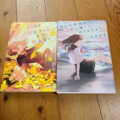 沙見夏穂 作品2冊セットのサムネイル