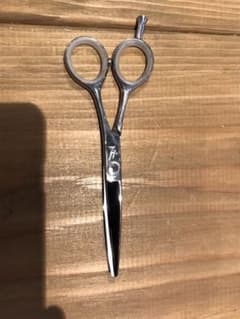 ❗️早いもの勝ち❗️切れ味抜群❗️ハヤシシザー　ハイス　5.5インチのサムネイル