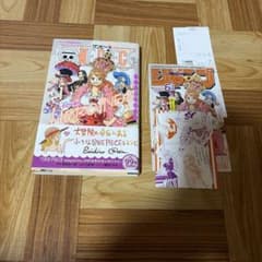 初版 帯 特典 チラシ付き ONE PIECE ワンピース ノベルヒロインズ