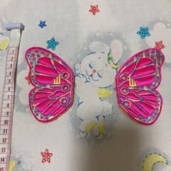 シューズアクセサリー　蝶々のサムネイル
