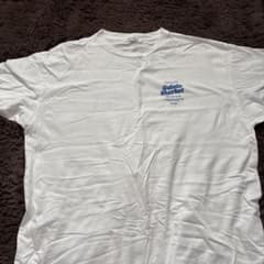 WEGO STANDARD Gelato Sherbet Tシャツ Lのサムネイル