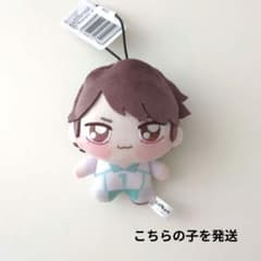 ハイキュー!! ちょぴぬいぷち5 及川徹