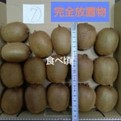グリーンキウイフルーツ 【完全放置物】無農薬・ 無肥料・無摘果のサムネイル