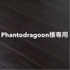Phantodragoon様専用 ポケモンカードBW 殿堂ベルト 2枚 プロモのサムネイル