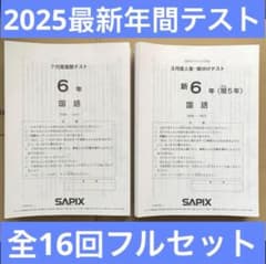 サピックス 6年 2025年間テスト 全16回フルセット 最新原本 - メルカリ