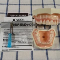 NISSIN DENTAL MODEL  頬粘膜ボックスフルカバーのサムネイル