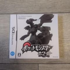 ポケットモンスター ホワイト DS ポケルス感染のサムネイル