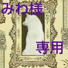 みわ様専用ページのサムネイル