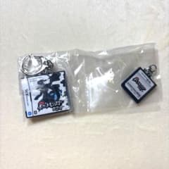 ポケモン　パッケージ＆ゲームカードキーホルダーコレクション　ホワイトのサムネイル