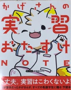 かげさんの実習おたすけノートのサムネイル