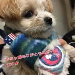 あちゅ様専用★のサムネイル