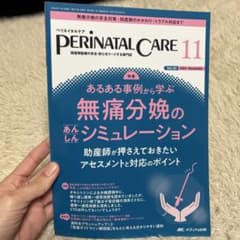PERINATAL CARE 2024年11月号のサムネイル