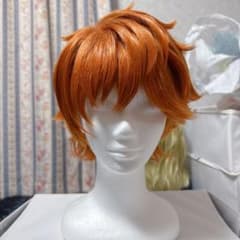 KING OF PRISM コスプレ ウィッグ 十王院カケル フルオーダー KING OF PRISM コスプレ ウィッグ 十王院カケル フルオーダー - メルカリ