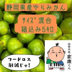 静岡県産【ゆらみかん】5キロ 訳あり　サイズ混合のサムネイル