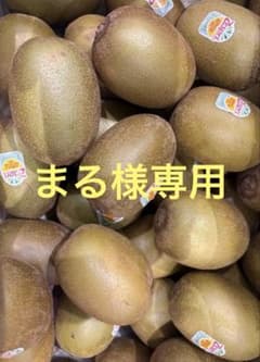 まるサンゴールドキウイ27玉サイズ44個入２ケース まる様専用サンゴールドキウイ27玉サイズ44個入2ケース - メルカリ