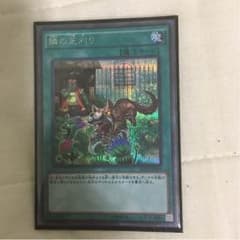 遊戯王 隣の芝刈りシクのサムネイル