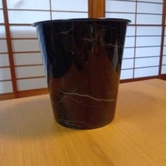 確認用のサムネイル