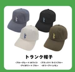 ハッチポッチステーション 藤枝リュウジの世界 ハッチポッチ展 帽子