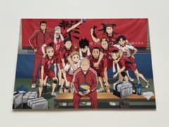 하이큐 입장자 선물 제2탄 특전 음 고마 고등학교 마지막 집합 사진