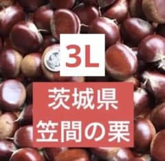 朝どれ！笠間の生栗　1kgのサムネイル