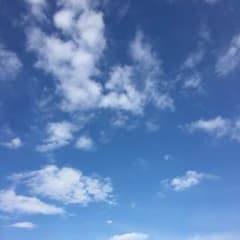 ぷう様専用２のサムネイル