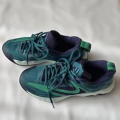 Nike バスケットシューズGIANNIS 25cmのサムネイル