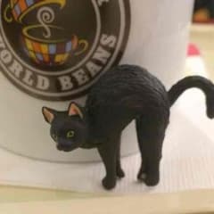 【限定‼︎】シャノアールシャノアール50周年キャンペーン 『ふちねこ』のサムネイル