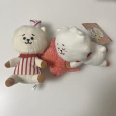 BTS Jin and BT21 RJ Plush Mascot Set (2 pieces)