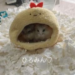 ひろみん♡のサムネイル