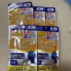 DHC イチョウ葉 脳内α 20日分 × 5袋のサムネイル