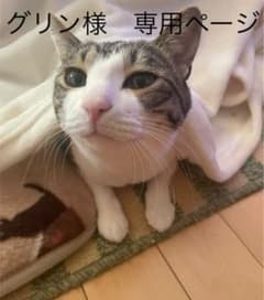 グリン様専用ページのサムネイル