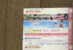 りさ様専用　東京サマーランド　株主優待　1枚のサムネイル